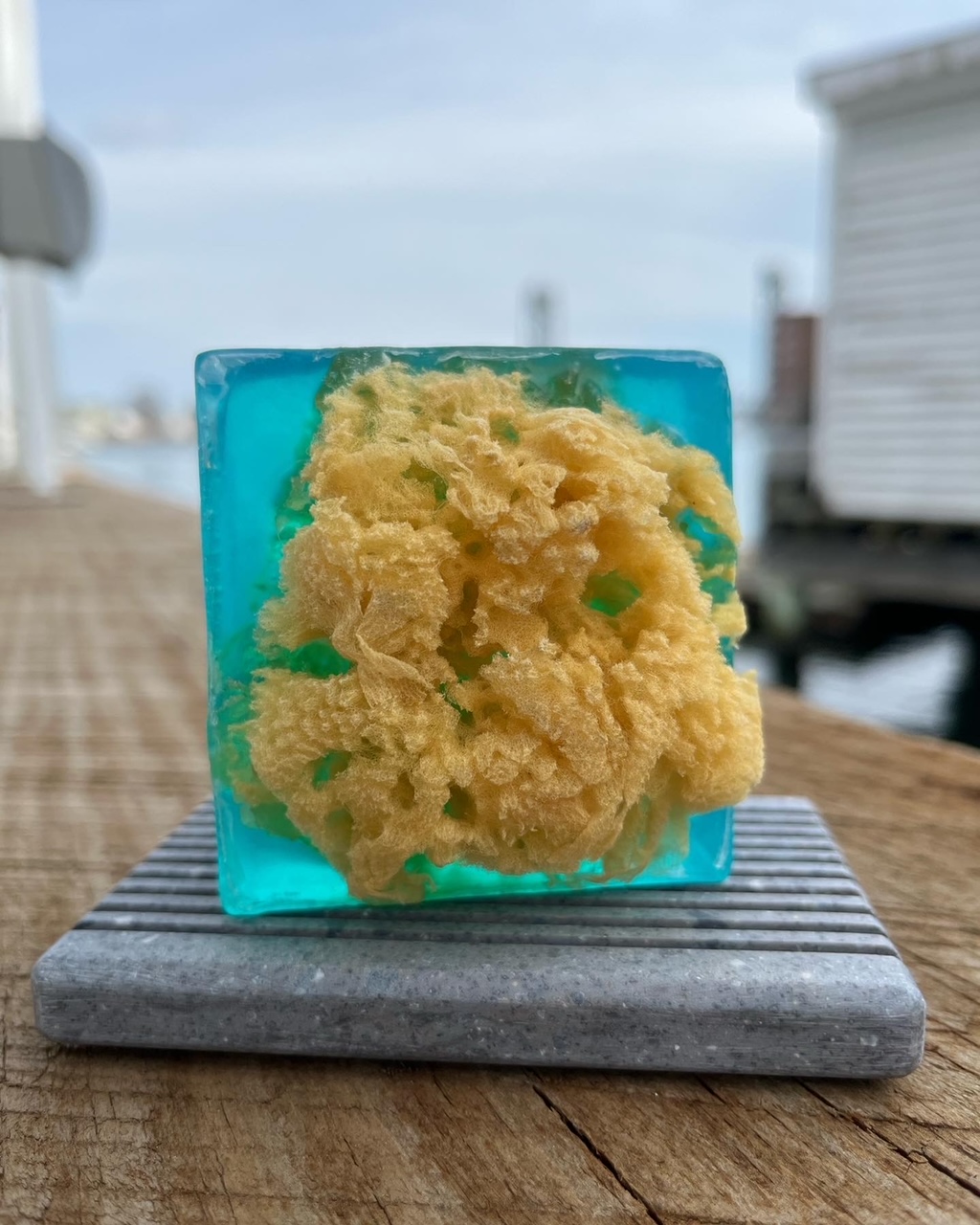 Sea Sponge Soap